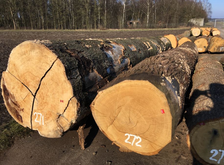 20 januari-20 februari 2020 is in Meerdaalwoud 't 2e Vlaams #Houtpark met stammen/stamstukken van de beste kwaliteit, waarbij lokale verwerking de voorkeur heeft. Sluit mooi aan bij 't #eco2eco gedachtegoed, waar kwaliteitshout uit #topnatuur voorop staat! eco2eco.info/tweede-vlaams-…