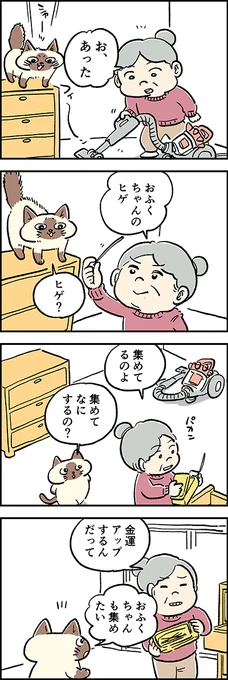 集めて、なにするの～??

第42話「金運アップ!」

『猫のおふくちゃん』の最新話は毎週金曜日に連載中♪
⇒( 

#猫のおふくちゃん 