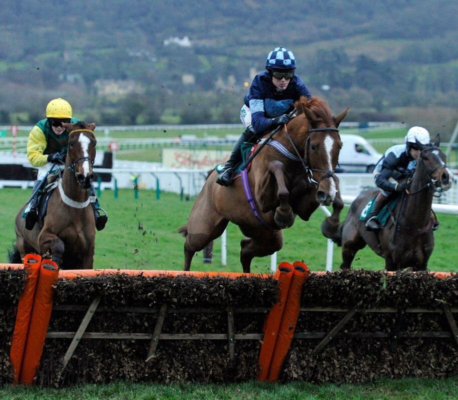 Steve_Croft's tweet photo. The Novicesβ Hurdle at @CheltenhamRaces today has a rich roll of honour.. Including this lad back in 2012 π #melodicrendezvous https://t.co/Lfq51xCNhm