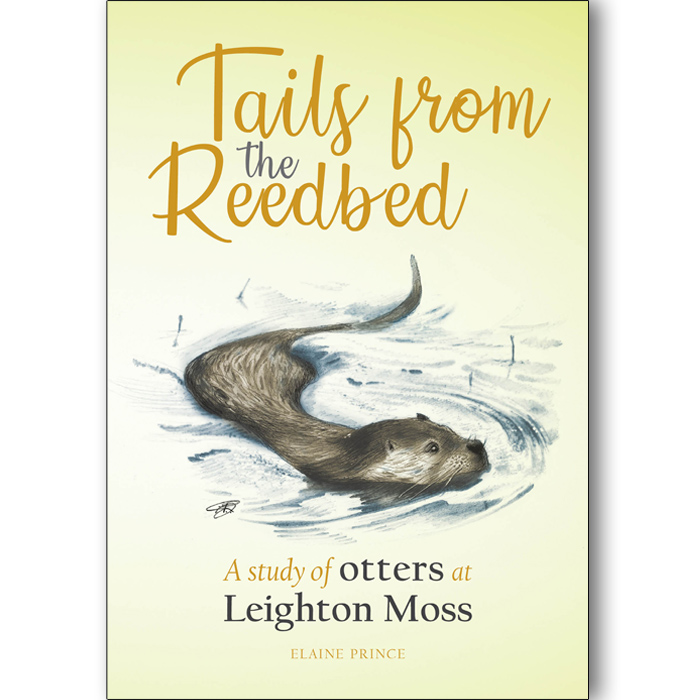 Carn_Publishing's tweet image. Looking for some last minute Christmas presents? carnegiepublishing.co.uk/catalogue/
Last date for Christmas orders is Tuesday the 17th of December. And don't forget to use code CARN10 for a 10% discount at checkout.
#christmasshopping #buylocal #Lancaster #Lancasterbooks