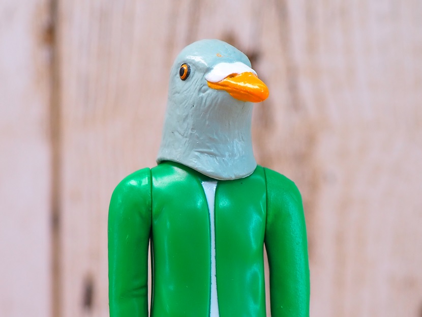 Strange Friends Yuji Pigeon