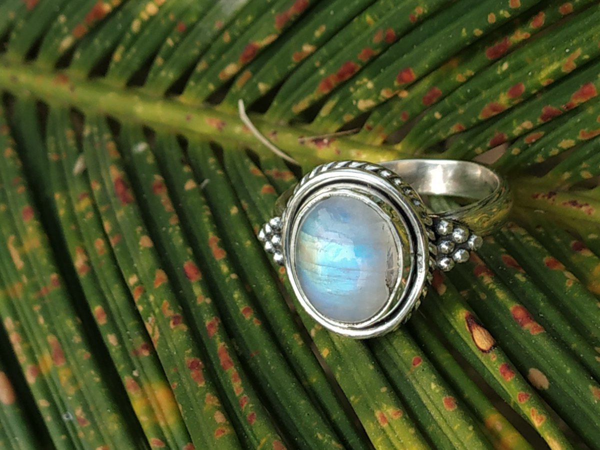 Moonstone Ring
Buy At
amazon.com/dp/B082PQ32RK?…

#MoonstoneRing #925silverring #NaturalRainbowmoonstonering #StatementRing #JuneBirthstone #GypsyGothicring #ArtisanJewelry #Bohemianring #PromiseRing #GiftForHer #ChristmasGift 
#christmas #christmasday #christmasday2019 #newyeargift