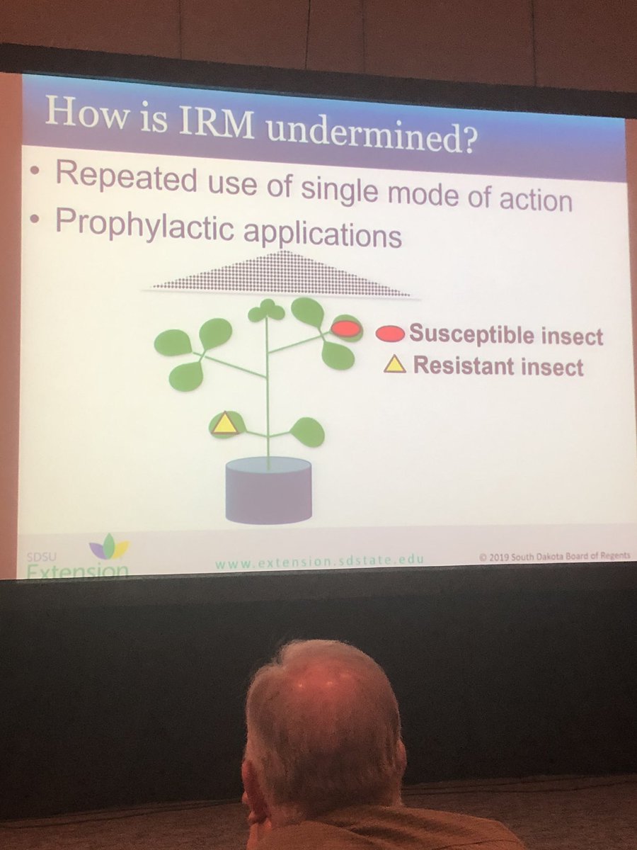 Good information from <a href="/SDSUExt_Insects/">Adam Varenhorst</a> on Pyrethroid Resistant Soybean Aphids <a href="/SDAgriBusiness/">South Dakota Agri-Business Association</a> conference day 2.