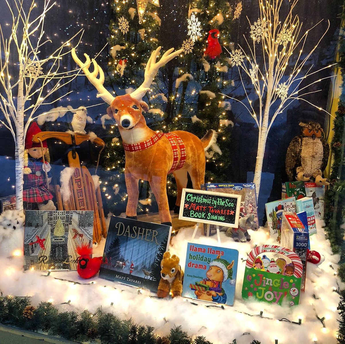 tavaresbooks's tweet photo. Look at this beautiful Dasher-inspired window display! 😍

It’s at the Village Toy Funatic in Ogunquit, ME. I’ll be there tomorrow, 12/14, at 11 am.

After traveling all over the country these past few months, I’m excited to have a book signing I can walk to! 😊

#DasherTour https://t.co/13FTnXj8xv