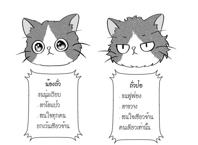 "ถั่วเป็นของพี่ แต่พี่เป็นของผม"
ป๋อไม่ได้กล่าวไว้---
เจอกัน งาน #BOZHANFAIR นะคะ? 