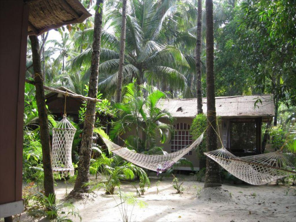 Dream Catcher Palolem Goa (dream_goa) Twitter