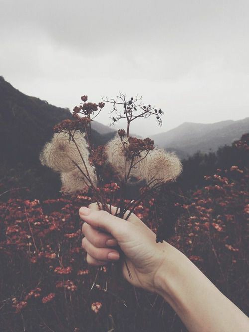 coastalhalo's tweet image. ⠀

⠀             "𝑰𝒃𝒖, 𝒎𝒂𝒂𝒇 𝒂𝒌𝒖 𝒕𝒊𝒅𝒂𝒌 𝒃𝒊𝒔𝒂 𝒎𝒆𝒏𝒆𝒎𝒑𝒂𝒕𝒊 𝒋𝒂𝒏𝒋𝒊𝒌𝒖 𝒉𝒊𝒏𝒈𝒈𝒂 𝒔𝒂𝒂𝒕 𝒊𝒏𝒊."

⠀