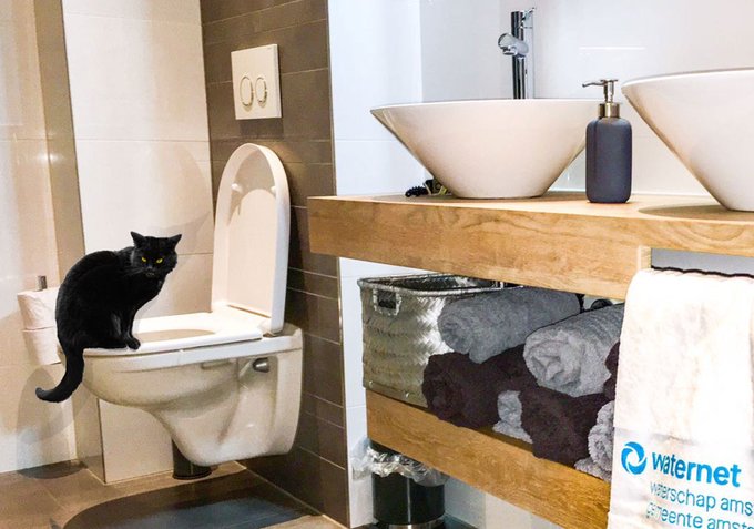 Spoel geen vochtige doekjes door de wc. Dát brengt pas ongeluk #vrijdagdedertiende #verstopping
Zie: https://t.co/LY7MfY4rrM