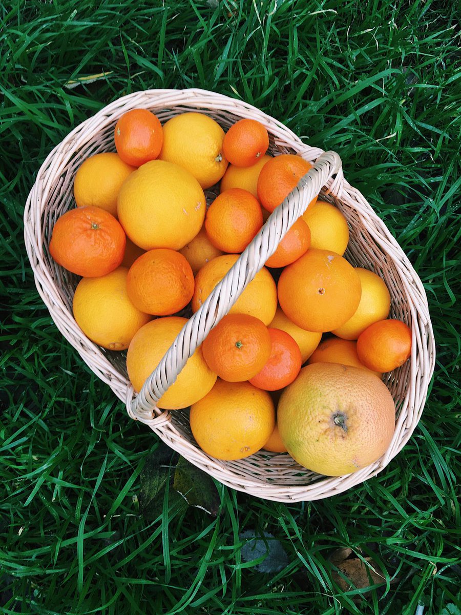 bukoop's tweet image. Narenciyelendik!!! 🍊🍋Mis gibi zehirsiz portakal ve mandalina için buyrun Bükoop barakaya:)