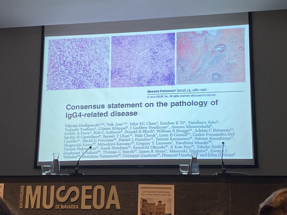 tlabiano's tweet photo. Dr. N.Santiago de HU Araba presenta un caso de Enf renal #IgG4 + #RegionalNorte168 en #Pamplona @SEAP_IAP #GUpath #pathology https://t.co/SxMAjQNkrO