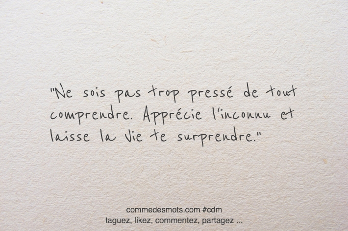 Comme Des Mots Ne Sois Pas Trop Presse De Tout Comprendre Apprecie L Inconnu Et Laisse La Vie Te Surprendre Citation Citationdujour Proverbe Quote Quotes Quoteoftheday Vie Inspiration Influenceur Influenceuse Commedesmots