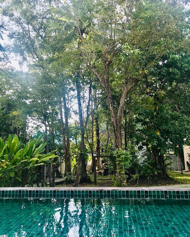 rubadubmrkt's tweet image. Chilling #rubadubmrkt #holidays #gettingreadyfor2020 #reggae