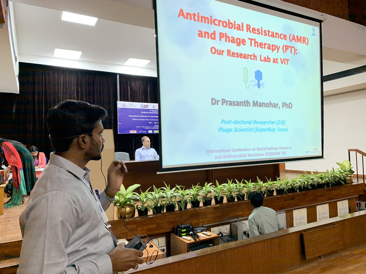 Antibiotic Resistance and Phage Therpy Lab tweet media