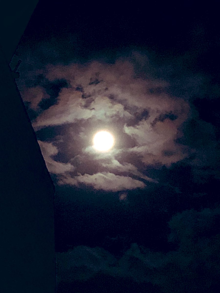 TOMATOM3210's tweet photo. 今日の月^_^
#today#moon#evening https://t.co/k1Tm0SVtXB