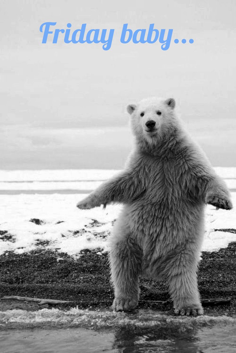 Good Morning Friday, bit of a late one this morning had a couple of calls to make on the way in today! Hope you have had a good week. Have a Great Day.

#TwitTeam #Printing #Dorking vincentpress.co.uk

We ❤️ Printing - More than just Ink on Paper 😎