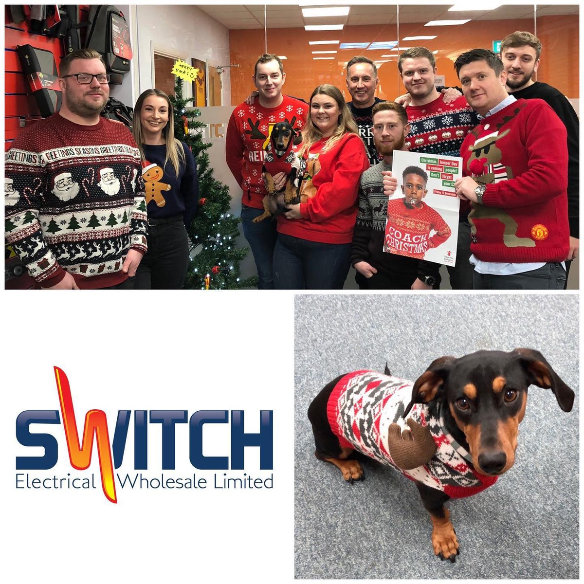 SwitchElectrics's tweet photo. It’s Christmas jumper day, so here at Peterborough everyone’s got involved including the dog 🎅🏼
We’d love to see your Christmas jumpers!!! Whose got involved?☺️
#christmas #christmasjumperday #switch #electrical #switchelectrics #wholesale #electrician https://t.co/m4IVFB9BhW