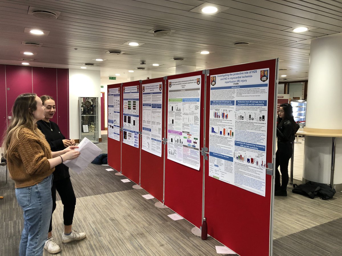 Some absolutely fantastic posters on display from our Year 3 Hypoxia in Health and Disease students. We’re having a brilliant time discussing some really interesting research! #researchledteaching #researchinformedteaching #posters