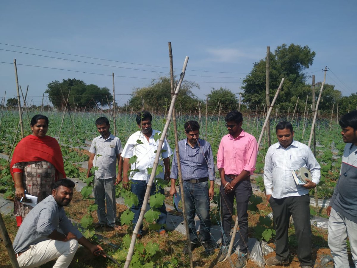 DH&SO, Mahabubnagar tweet media