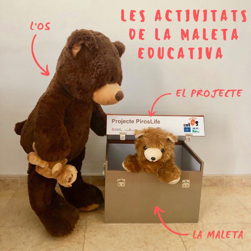 CatedraPirineus's tweet image. La Maleta de l’os. 🐻 És la part educativa del projecte @PirosLife, una proposta adreçada a les escoles de tot Catalunya amb la finalitat que l’alumnat desenvolupi l’esperit crític i la sensibilitat en relació amb la natura. #centrederecursos #udl @educaciocat