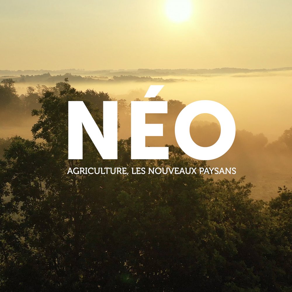 NvelleAquitaine's tweet image. #Agriculture : les nouveaux #paysans en #NouvelleAquitaine préservent la #biodiversité, avec l’association #PaysagesNourriciers

➡️Rencontre dans le 2ème épisode de #NÉO: youtu.be/QT7-YRn6PDI

👩‍🌾🐞🌾🌿🍎👨‍🌾🚜🛠️👩‍🌾🐞🌾🌿🍎👨‍🌾🚜🛠️

@gcom  #emission  #docu #segurlechateau #Thread