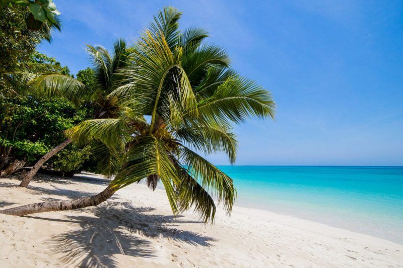 Live_Madagascar's tweet photo. Les activités à la journée c’est bien, mais Iranja étant loin c’est toujours en groupe ainsi manque un peut d’intimité, en bivouac, profitez d’une soirée sur une île paradisiaque en mode « privatif » 😉 

👉🏻 https://t.co/qmmZqx1Tjq

#LiveMadagascar #MyMadagascar #madagascar https://t.co/aoyILikUNg