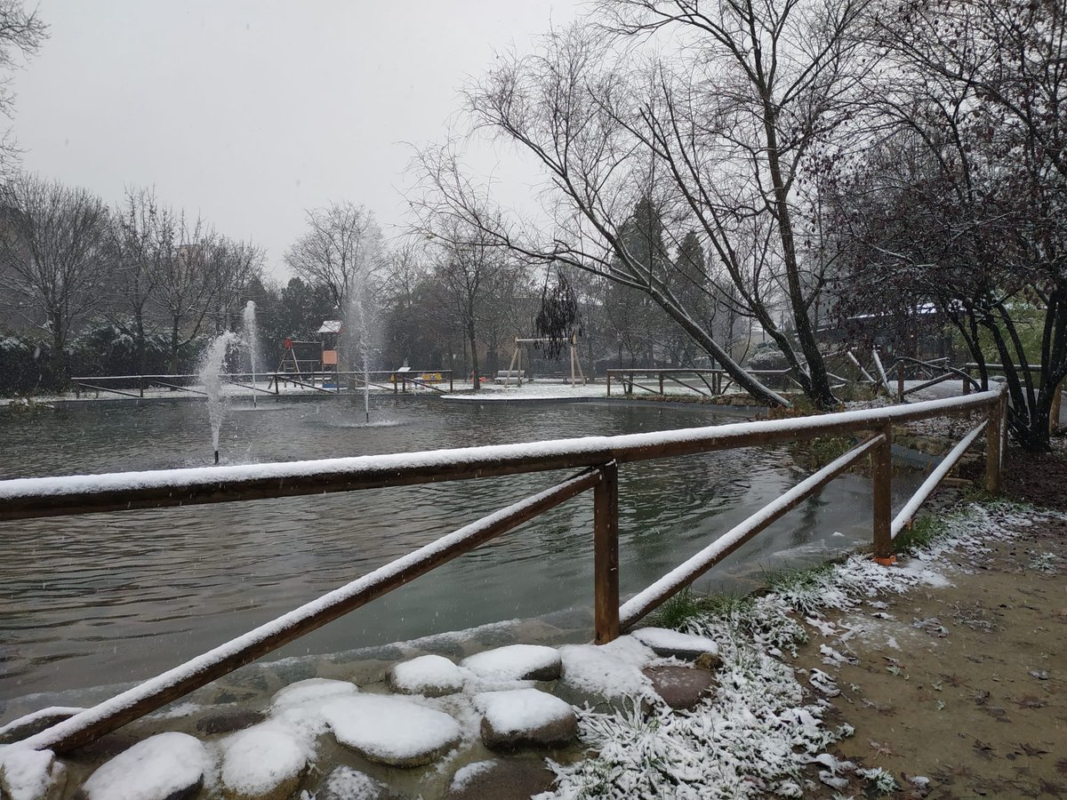 CasalePusterla's tweet photo. Santa Lucia al Parco delle Molazze @ilCittadinoLodi https://t.co/IigJfGY94Q