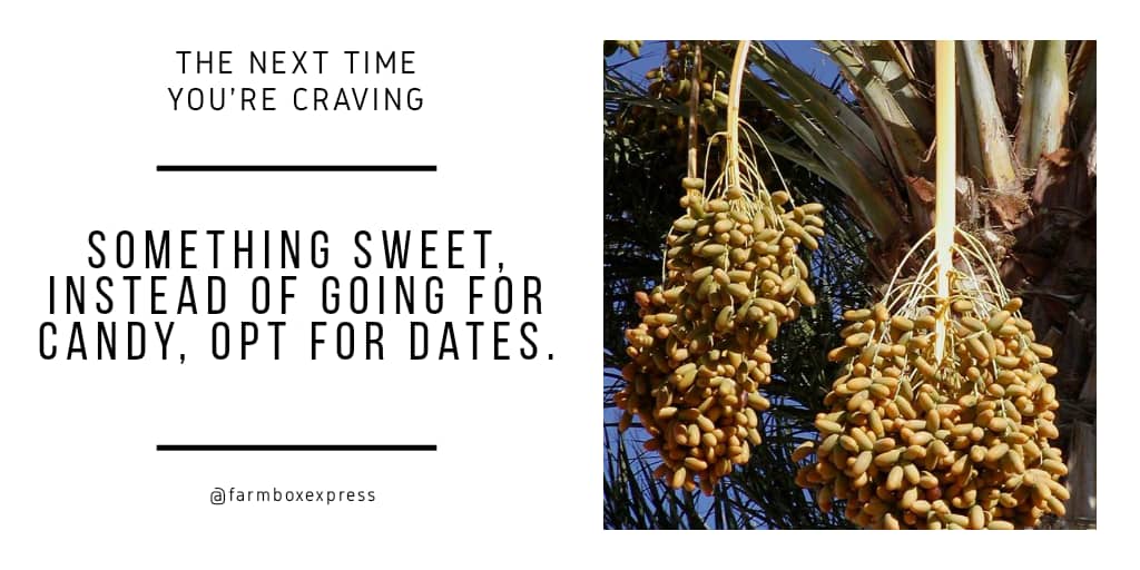 farmboxexpress's tweet image. Next time you crave something sweet, instead of going for candy opt for Dates.
They’re just as sweet and way better for you than sugar. 
This natural fruit is a delicious source of fiber, with high concentrations of potassium and vitamin A.
#KwasuVsUnilorin
#FridayThe13th
