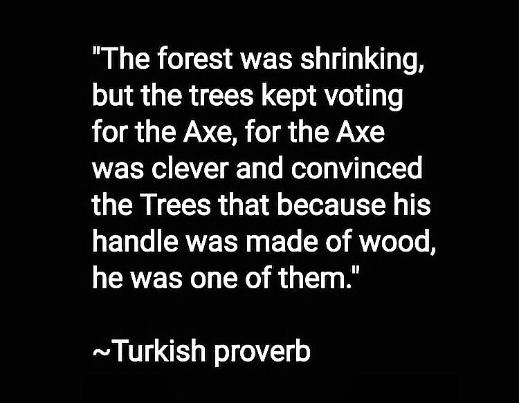 Blaine (@blaineharrison) on Twitter photo 