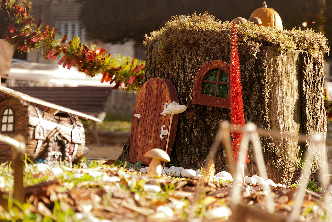 Rodona? Amb finestres? En un tronc?🌟 Les cases de les fades són molt boniques, de formes i de mides diferents!!🧙‍♂️Vine al Món del Tió i podreu veure amb tota la família les casetes de les fades😍

Recorda del 14 al 23 de desembre a la Pl. Dr Pearson de Rubí.🙌

#Nadal #rubí