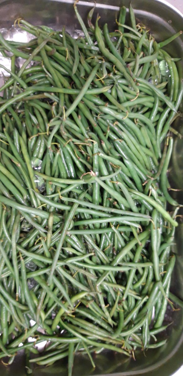 RedLionBarnes's tweet photo. #cheftweet One of my chefs does not understand my fury of his indiscipline with these blanched beans ...😡 https://t.co/Qzos2KGL2h