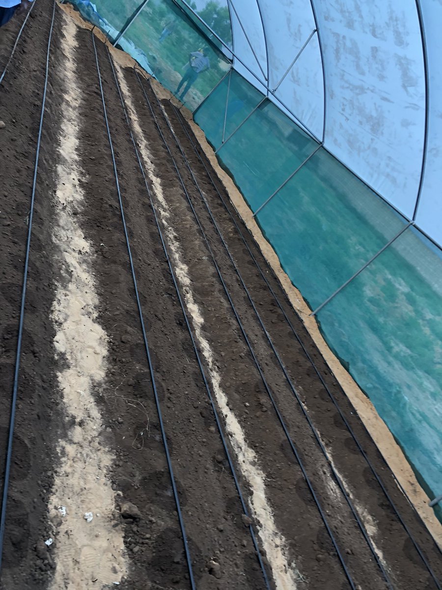 EngMireB's tweet image. Today we are concluding the first Greenhouse owned by the Green Life landscape and agricultural services.