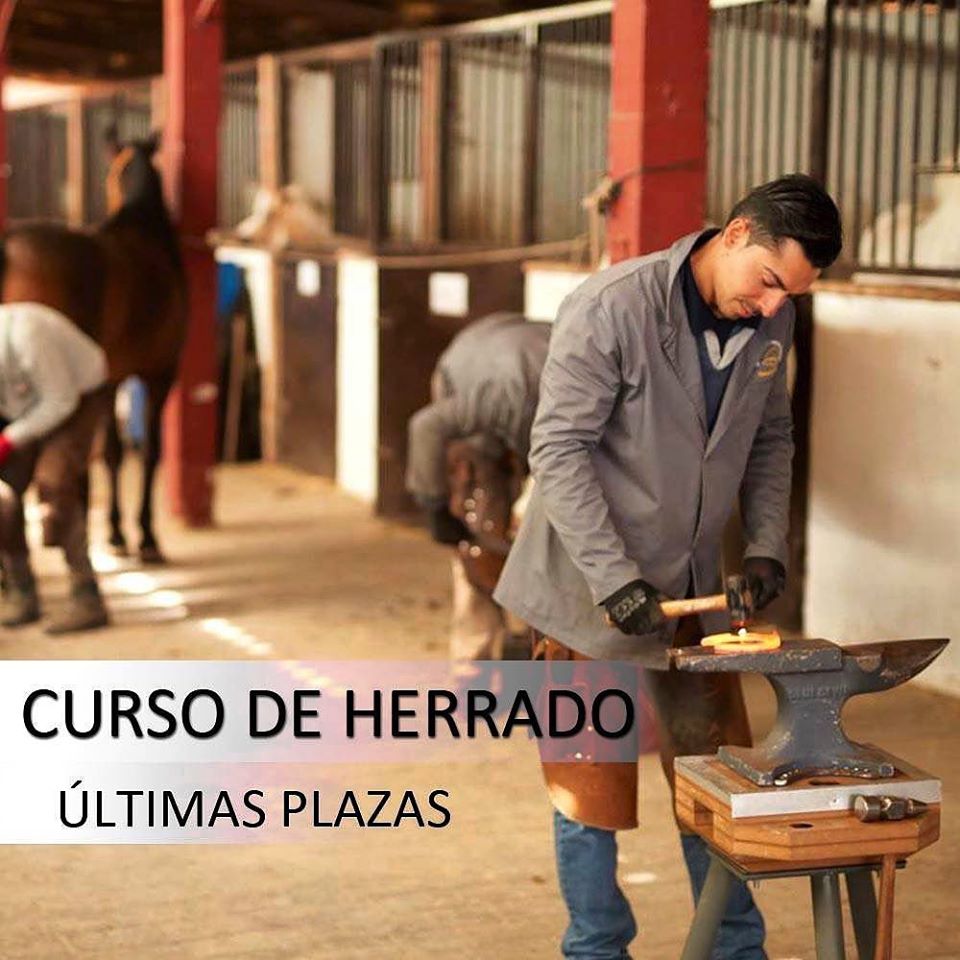 EscHerradores's tweet photo. ¡Últimas plazas! para nuestro #curso de #ENERO. Si estás interesado no dudes en ponerte en con nosotros por teléfono en el 📲 +34 606 354 046.
#Cytek #BalanceF #Barefoot #Herraje #Escueladeherradores https://t.co/ORhm7qD8BR