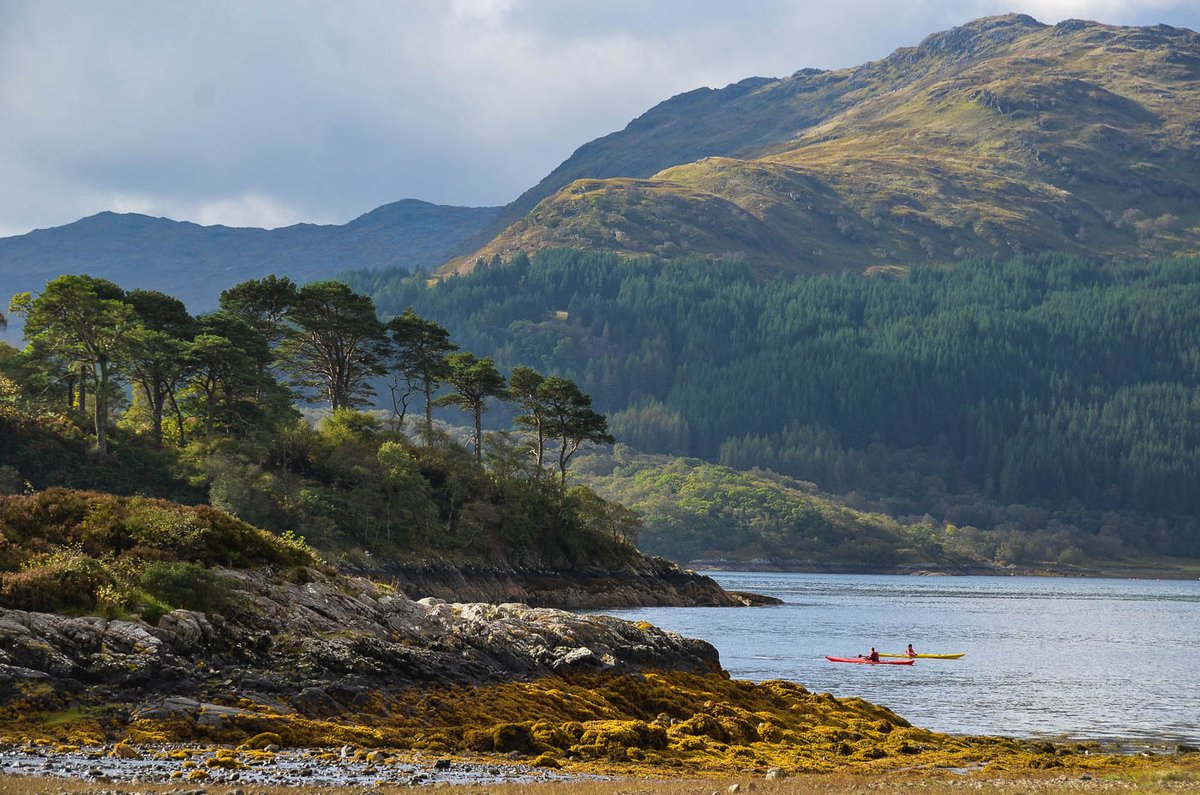 walkhighlands tweet media