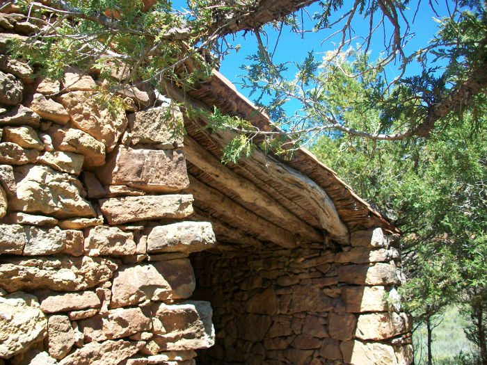 invesrural's tweet photo. 🥾¿Quieres recorrer un espacio rural con un importante valor ecológico y lleno de historia? 🐾
🌿Acompáñanos en esta nueva Ruta por el Sabinar de Alpuente🌳el próximo sábado 14 de diciembre a las 10:30 h 🕰 
ℹ️ Más info e inscripciones: https://t.co/gYczRlYaCC https://t.co/kXpb47BvjL