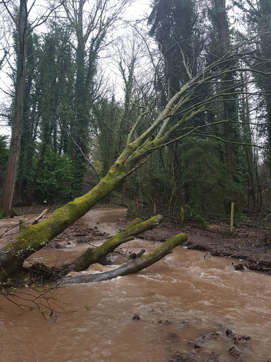 icooper06's tweet image. @GroundControlGC @GrahamBirdGC Today our teams are out clearing blockages in Poynton for the EA. It's not always possible to get large kit to these blockages, so our team is using a winch on a chipper, along with pullys, to remove the timber safely. @jaymilson