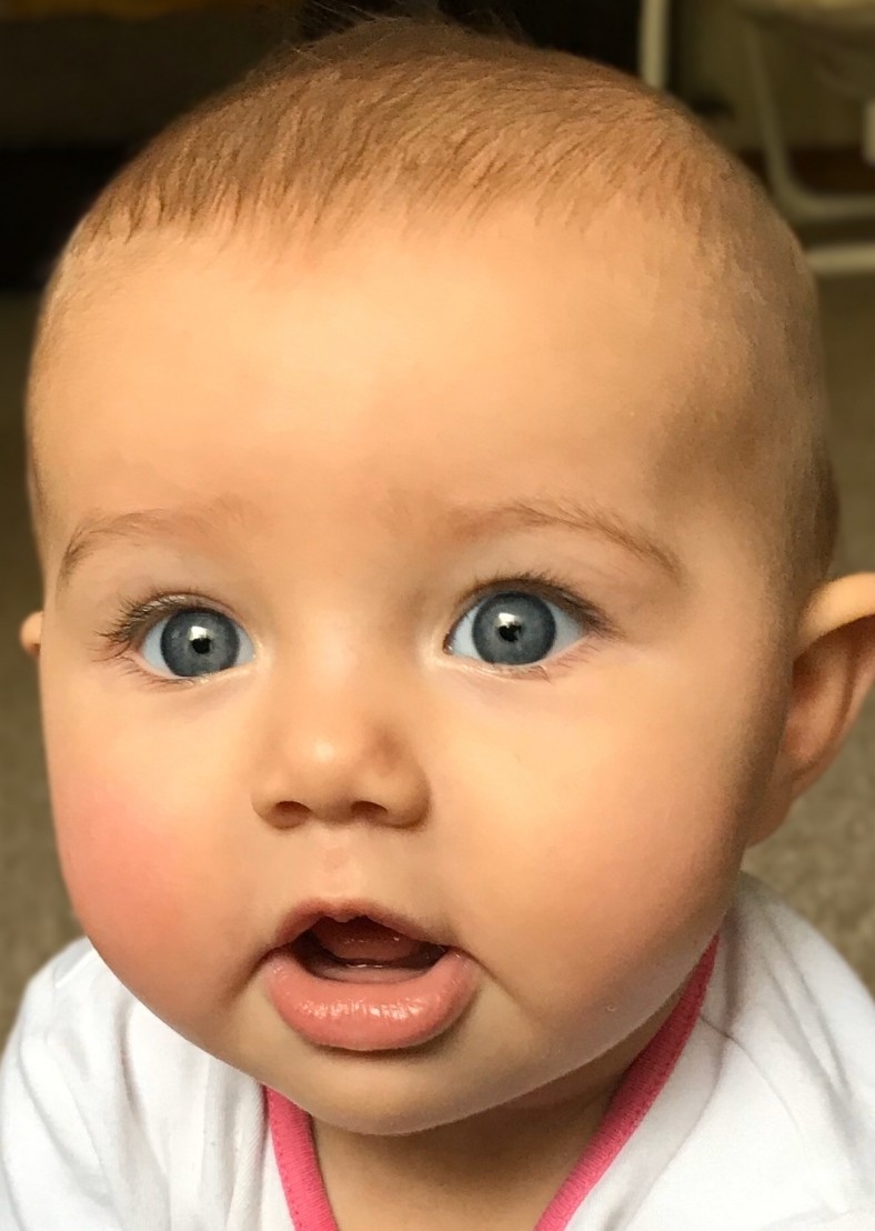 GemBobe's tweet photo. Fingers crossed for Ezra G &amp; Taylor H availability checked for a magazine brand stills shoot @bonnieandbetty1 @SophiecBobe @RosieBobe #babymodel #teambobe https://t.co/V1eogFaw19