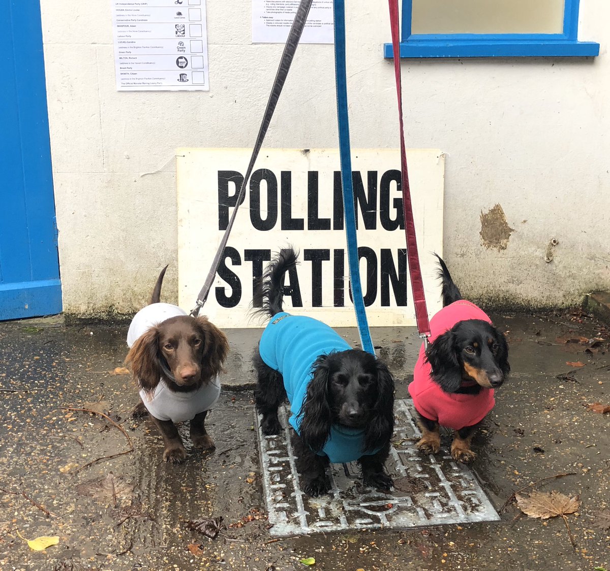 Bit late as I never use twitter #DogsAtPollingStation