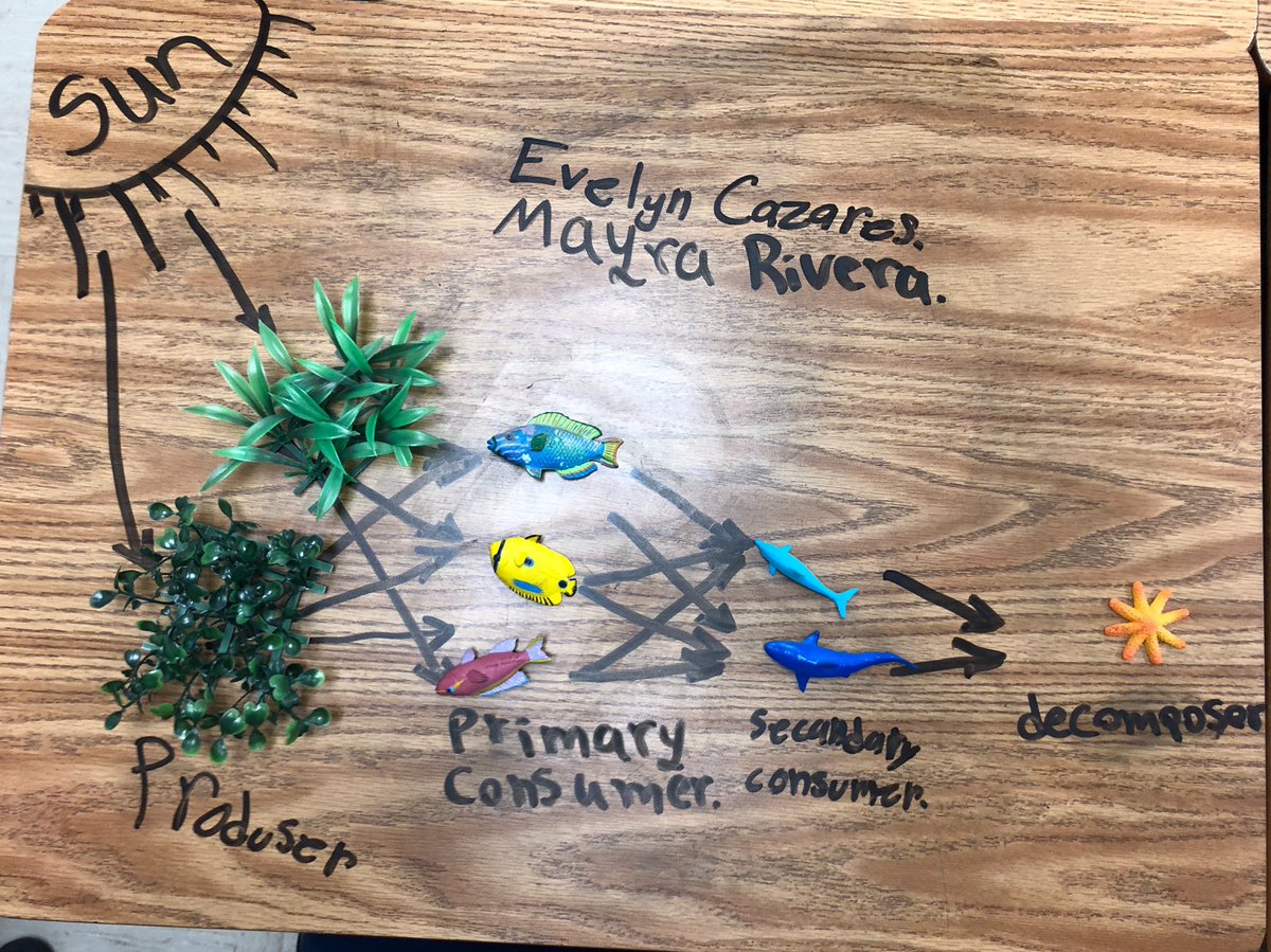 #FoodWeb models are always more fun to build when you can use @ExpoMarkers to draw on your desk! @DMcRaeFWISD #FWISDScience