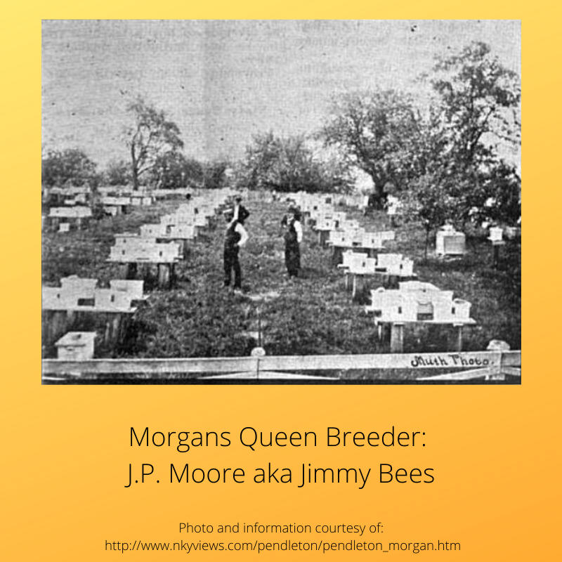 PCPLibrary's tweet image. Fun Fact Friday!
#PCPLFunFactoftheDay