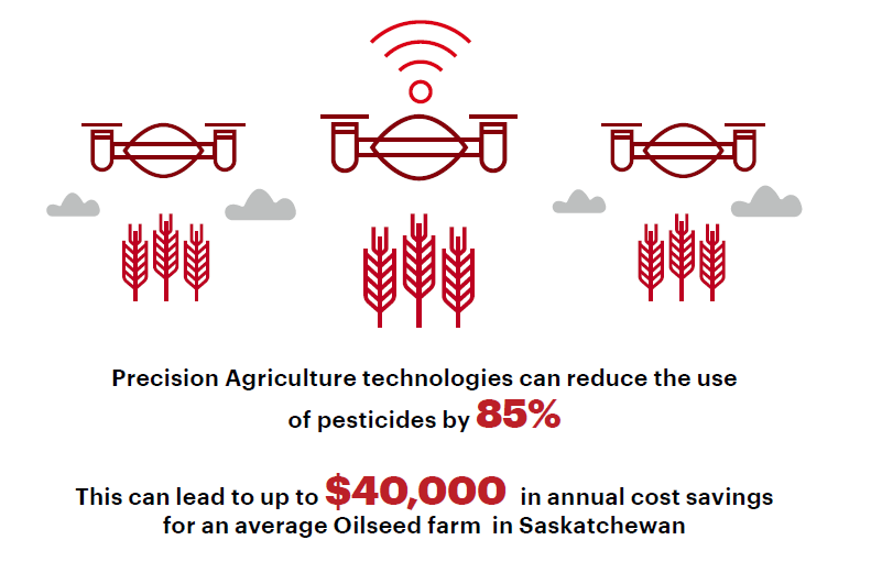 test Twitter Media - Among the benefits #5G can bring to urban and rural Canadians, Precision Agriculture will reduce the use of pesticides by 85% and enable savings such as $40K per year for the average oilseed farm in Saskatchewan. https://t.co/9rRRjNjpqm https://t.co/hbLUUmtMjl