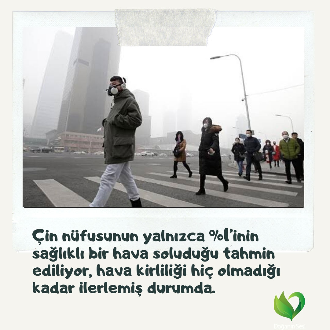 Havayı kirletmek, geleceği yok etmektir!🌏🌫️🍃
#noairpollution #havayıkirletme #doga #doganinsesi #doganinsesinidinle