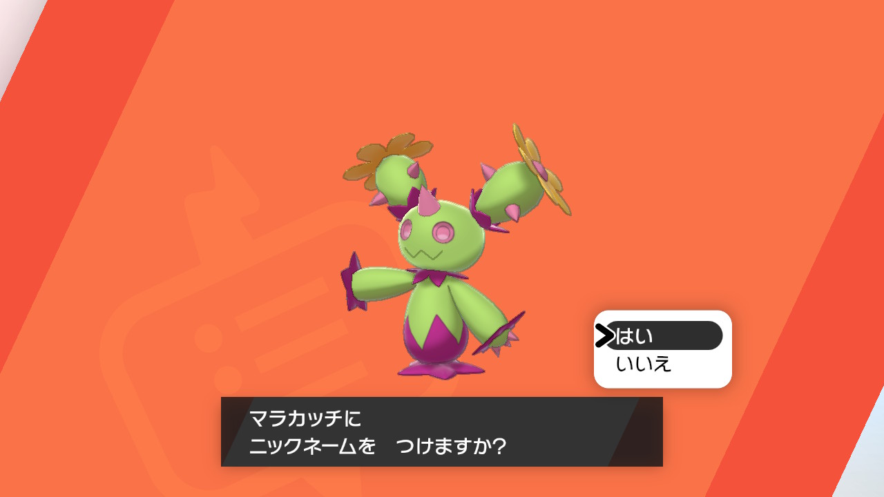 Kai Ttk 初めての色違いはマラカッチでした ポケモン剣盾 Nintendoswitch T Co V73sehluvb Twitter