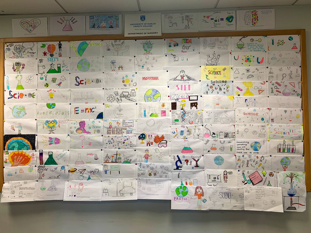 Surgery_TCD's tweet image. Well done to all the 1st and 2nd year girls in @HCKilliney @HCKStem who creatively showed what us what science meant to them and why it’s important in #ScienceWeek2019! Thanks @hrbireland for funding this important #PPI event #WomenInSTEM