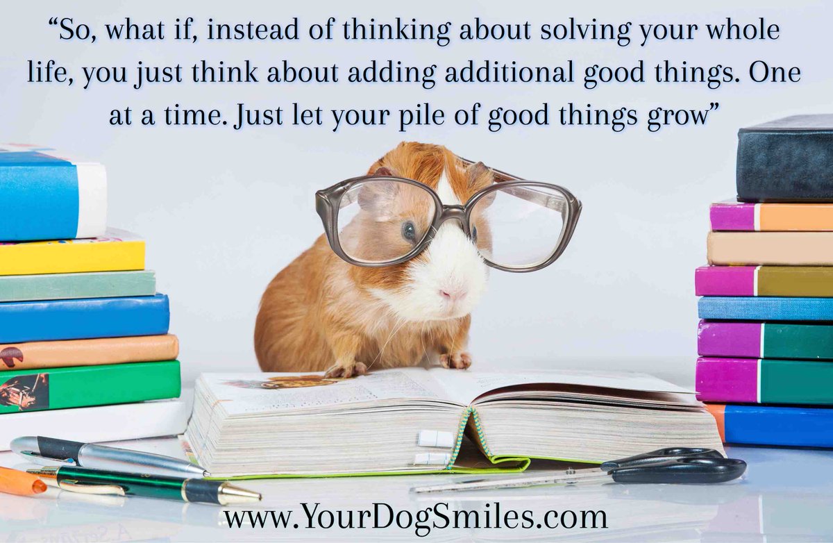 YourDogSmiles's tweet photo. “So, what if, instead of thinking about solving your whole life, you just think about adding additional good things. One at a time. Just let your pile of good things grow” #PositiveEnergy #PositiveQuotes https://t.co/0KqEsH0dZ8