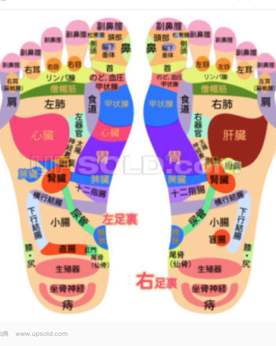 Sole 副業のdm要らない 足の裏大事なんだよ 足ツボは痛いからって嫌がる人も多いけど 痛いからこそやらないと行けない 自分の弱ってるとこ知ることも大事 足ツボ リフレクソロジー タイ式 英国式 Sole 副業のdm要らない 足の裏大事なんだよ 足ツボは痛いからって嫌がる人も多いけど 痛いからこそやらないと行けない 自分の弱ってるとこ知ることも大事 足ツボ リフレクソロジー タイ式 英国式