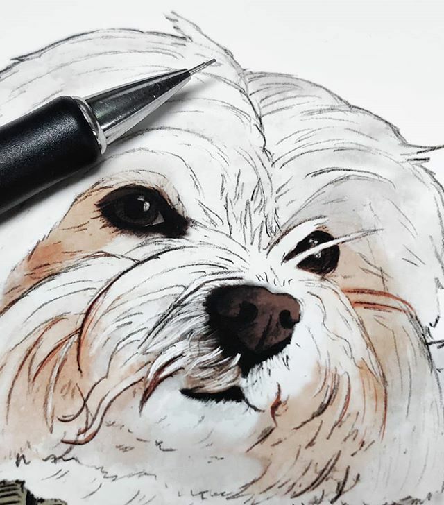 crabapplemoon's tweet photo. A little section of a pet portrait that I've just finished working on 🐾

While my books are all full for Christmas portraits, my Etsy shop is still open, but don't forget the last day to order for Christmas is the 18th! https://t.co/Wk9lMfc0yT https://t.co/aPxzu1sBSl