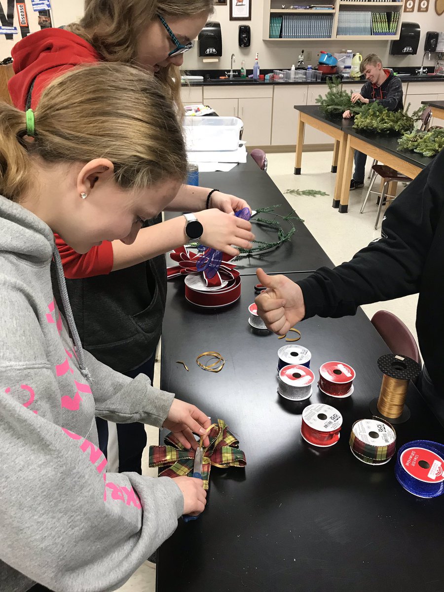 LVanegtern's tweet photo. Ag Survey is studying Christmas Tree production. They are trying their hands at wreath making and bow tying this week. #DodgelandProud #LearningToDo #DoingToLearn #AgSci #FloralDesign https://t.co/o4fzb2CgTn