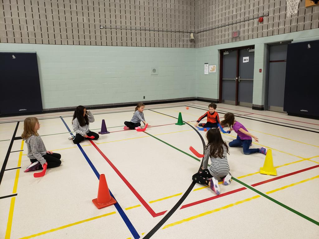 WCDSBhpe's tweet photo. Seated Gaga ball this morning with mini sticks! #everyoneisagoalie #tgfu #striking #fielding #movementcompetence #fun https://t.co/4028BsSe9e