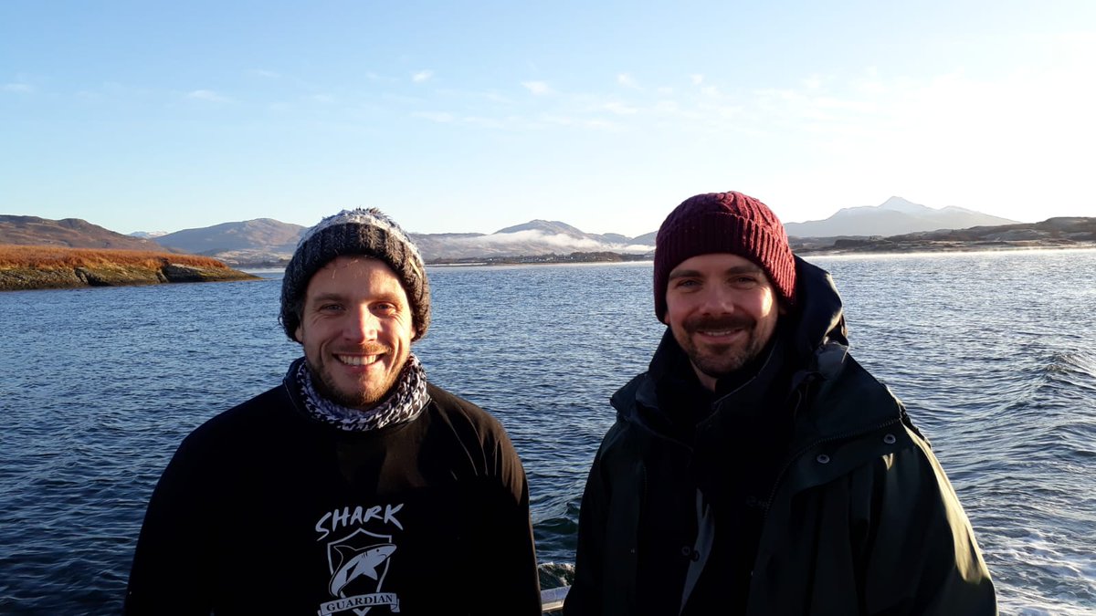 Here are our boys at St Andrews University, tagging the critically endangered Flapper Skate (Dipturus intermedius) and monitoring their movements in Scottish waters, particularly the Sound of Jura MPA. Part funded by Shark Guardian, we are so proud! #ScottishSharks #FlapperSkate