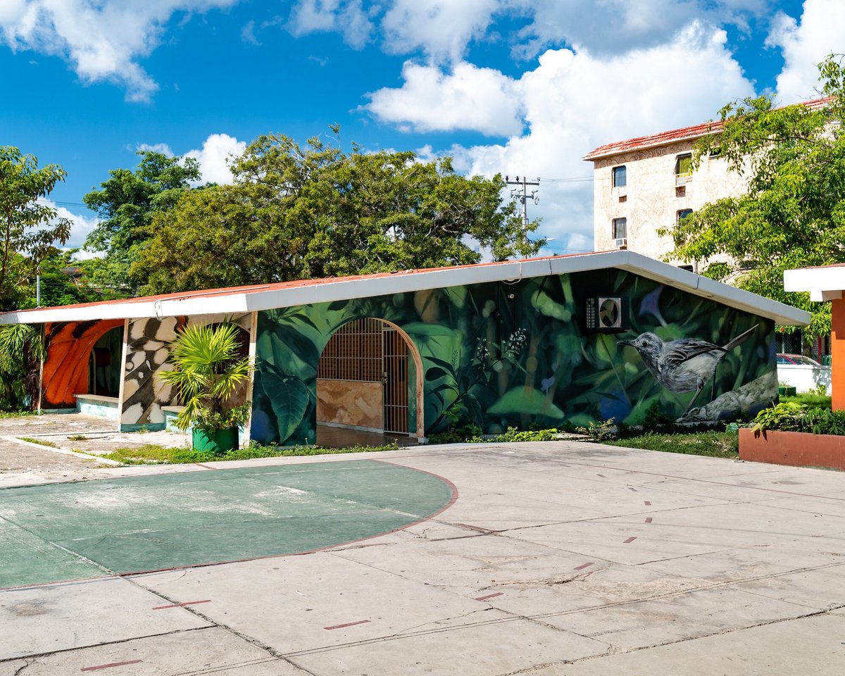 ProyPanorama's tweet photo. Les compartimos la instalación terminada por el artista francés Mantra Rea, el cuál intervino la escuela pública Alfredo V. Bonfil ubicada en la SM 22 como parte de nuestro programa de #ArteenEscuelas Públicas y #PaseoPionero. https://t.co/Wye6UviCIt